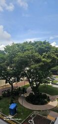 Blk 768 Pasir Ris Street 71 (Pasir Ris), HDB 4 Rooms #606883091